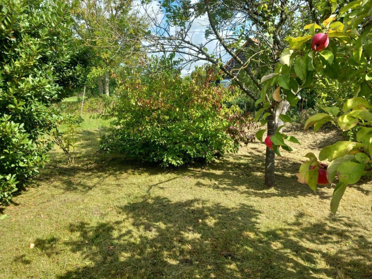 فيلا Le Jardin Secret سانت-أومير المظهر الخارجي الصورة
